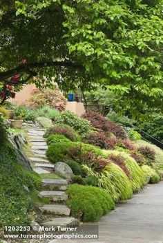 a stone path surrounded by lush green trees and shrubs with stepping stones on each side