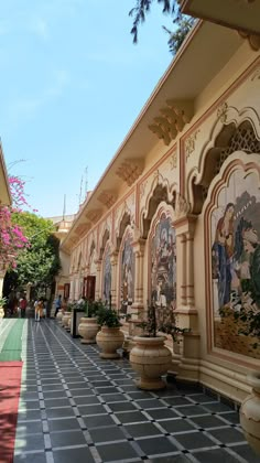 the walkway is lined with potted plants and decorative paintings on the side of the building