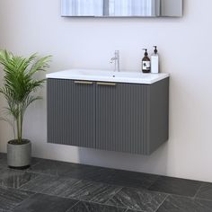 a bathroom vanity with a mirror above it and a potted plant next to it