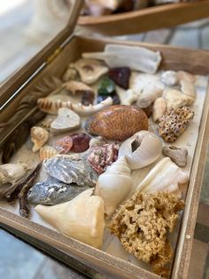 an open box filled with sea shells on top of a tiled floor next to other items