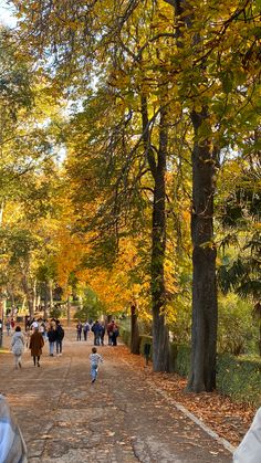 many people are walking down the path in an autumn park with leaves on the ground