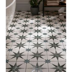 a bath room with a tub and a star pattern on the floor next to a plant