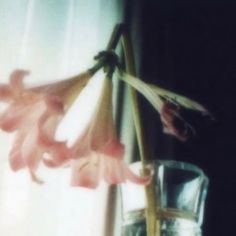 a flower in a vase on a window sill next to a glass filled with water