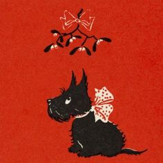 a black dog with a bow on its collar sitting in front of a red background