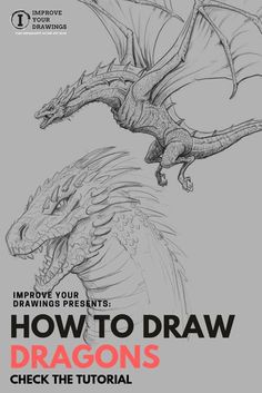 an image of how to draw dragon's in the style of a drawing book