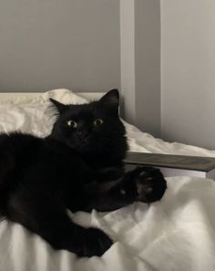 a black cat laying on top of a bed