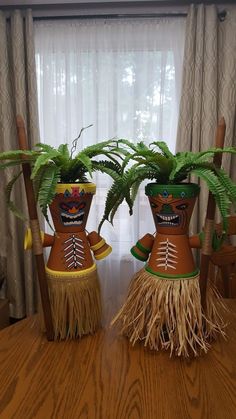 two potted plants sitting on top of wooden chairs