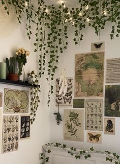 a bedroom with lots of plants hanging from the ceiling and pictures on the wall above it