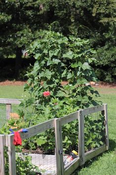 a wooden garden fence with plants growing in it and some flowers on the other side