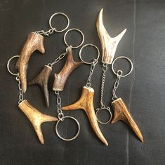 four different types of animal horns hanging from key chains on a black surface with metal rings around them