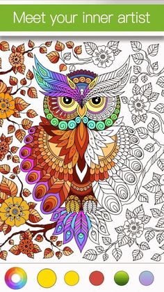 an adult coloring book for adults with colorful owls and flowers on the page, which is filled