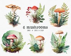 watercolor mushrooms and ferns clipart set