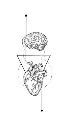 an image of the human heart and its structures in black and white, with arrows pointing to each other