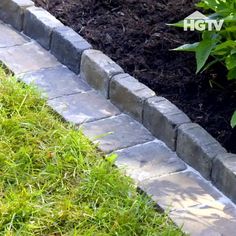 an image of a garden with grass and mulch