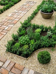 a garden with brick walkways and potted plants in the center, surrounded by gravel