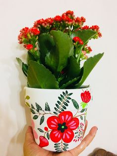 a hand holding a potted plant with red flowers and green leaves on the top