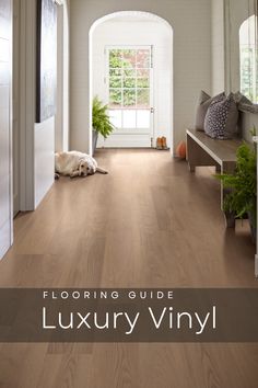 Beautiful luxury vinyl planks, look like real hardwood floors.  Long entryway shown with a bench leads to full glass window door.  A fluffy blond labrador lounges on the floors.  She looks content and satisfied with the luxury vinyl flooring her owner choose.  The floors are soft for her to walk on and are easier for her owner to clean up when she tracks in mud. Wooden Lvt Flooring, Vynil Flooring Ideas Living Room, Luxury Vinyl Plank Flooring With Dark Cabinets, Vinyl Flooring For Living Room, Modern Vinyl Flooring Living Room, High End Vinyl Plank Flooring, Light Brown Vinyl Flooring, Modern Vinyl Flooring Bathroom, Mid Tone Lvp Flooring