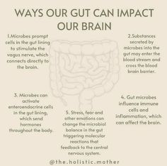 Gut Brain Axis, Hormone Nutrition, Gut Reset, Arbonne Nutrition, Healing Diet, Brain Facts, Colon Health, Holistic Diet, Gut Brain