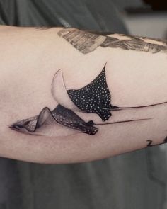 a man with a tattoo on his arm has a stingfish in it's tail