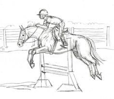 a pencil drawing of a person on a horse jumping over an obstacle in the field