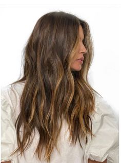 Color And Partial Highlight, Light Brown Partial Balayage, Mini Partial Highlights, Classic Brunette Hair, Balayage For Medium Brown Hair, Subtle Highlights Brown Hair, Soft Balayage Brunette, Highlights On Medium Brown Hair, Subtle Brunette Balayage