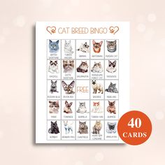 a card with cats and dogs on it that says, cat breed bingo 40 cards