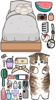 an image of a cat with various items around it on the bed and in the background