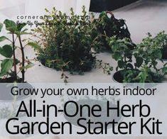 an advertisement for a garden starter kit with plants in pots and potted plants on the table