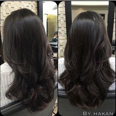 Long Dark Hair, Hair Inspo Color