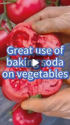 someone is holding some tomatoes in their hands with the words great use of bakin soda on vegetables