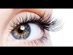 What an Amazing New Way to Apply Mascara! Make Eyelashes Grow, Cleburne Texas, How To Grow Eyelashes, Overnight Beauty, Thicker Eyelashes, Face Book, Eyelash Growth, How To Apply Mascara, Longer Eyelashes