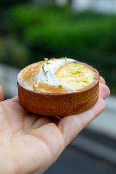 a hand holding a small pastry with whipped cream on top