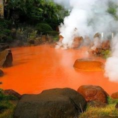 hot springs with steam rising from them and rocks in the foreground, surrounded by greenery