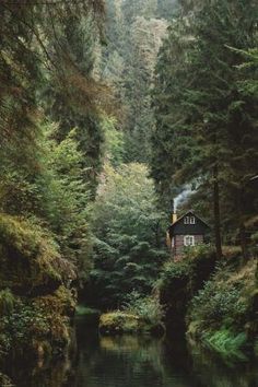 Witchcraft wallpaper for iPhone #witchcraftwallpaper 숲 사진, Small Cabin, Green Gables, Alam Yang Indah, Cabins In The Woods, Summer Camp, Beautiful World, A House