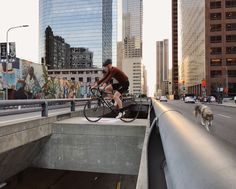 a man riding a bike over a bridge in the middle of a city with his dog