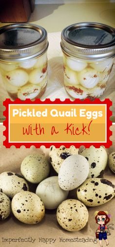 pickled quail eggs with a kick