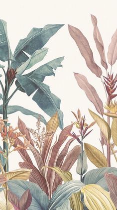 an illustration of tropical plants and flowers on a white background with pink, green, yellow and blue leaves