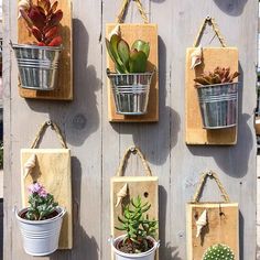 several hanging pots with succulents and plants in them on wood planks