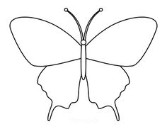 the outline of a butterfly on a white background