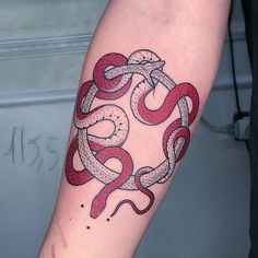 a red and white snake tattoo on the arm