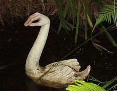 a white bird is standing in the water near some plants and grass on the shore