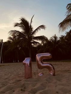 the number five is made out of metal on the beach with palm trees in the background