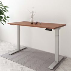 a table with a potted plant sitting on top of it next to a rug