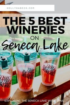 three cups with the words, the 5 best wines on scenic lake are sitting on a bench