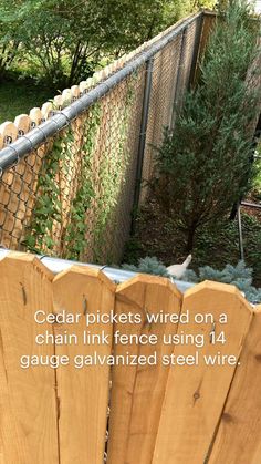 Chain Fence, Diy Backyard Fence, Diy Privacy Fence, Diy Fence, Fence Landscaping, Chain Link Fence, Backyard Fences