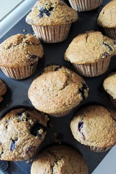 blueberry muffins sitting on top of a baking pan with other muffins