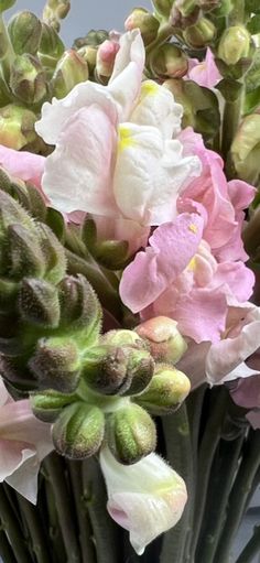 pink and white flowers are in a vase