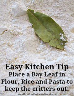 a leaf laying on top of flour with the words easy kitchen tip place a bay leaf in flour, rice and pasta to keep the critters out