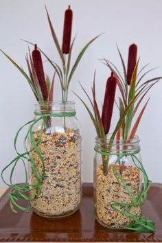 two mason jars filled with bird seed, grass and red flowers on top of a table