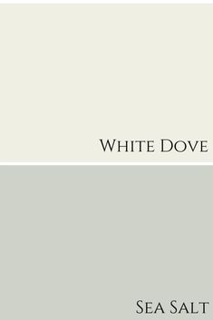 white dove and sea salt paint colors